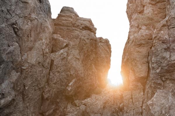 土蛇命和什么命最搭