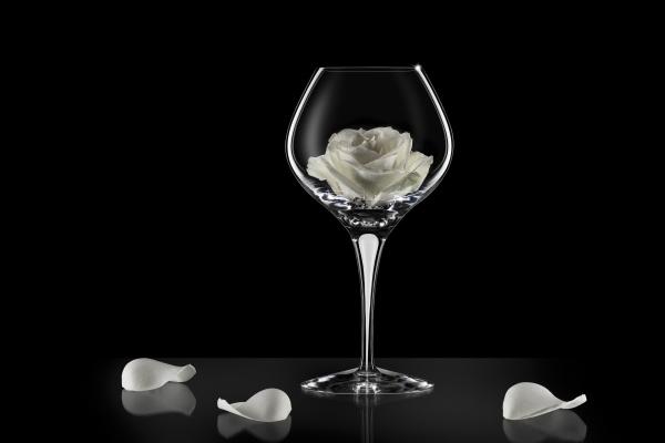 土蛇命和什么较为合