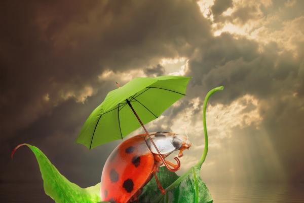 属羊人远离谁最好是