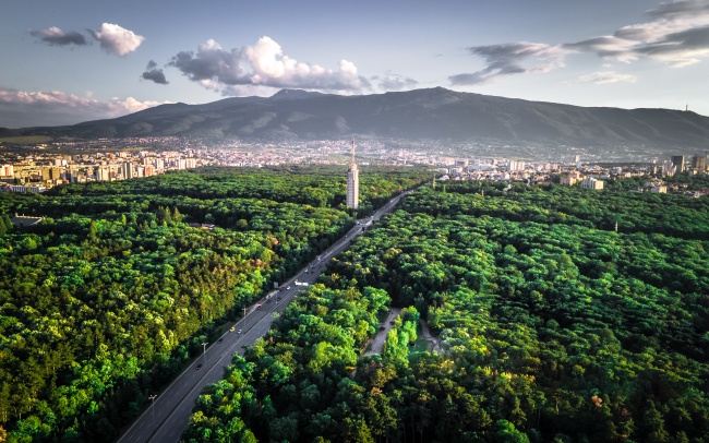 水蛇命的人戴什么最旺盛 水蛇命的人戴什么最旺盛