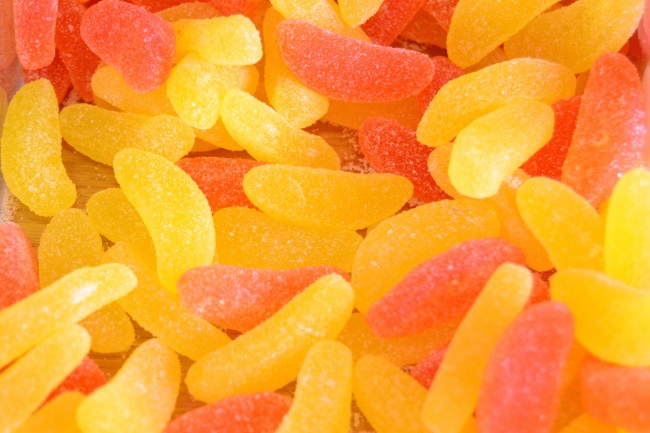 70年狗在2026年运势