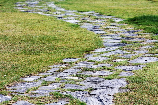 2026年属兔人贵人运怎样提升 2026年属兔人贵人运怎样提升