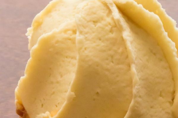 属狗人最旺的职业