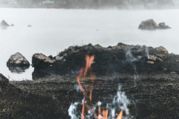 属狗一生最吃香的行业