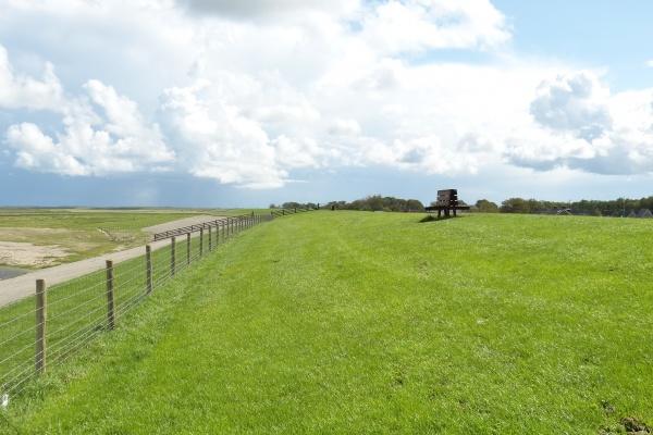 二月属鼠得人犯月吗