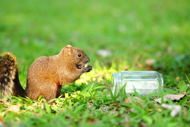 2026牛女最好穿衣颜色