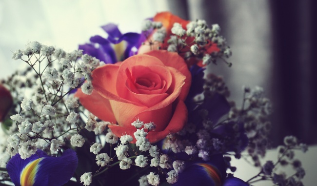 2026年属羊的几月搬家最好是