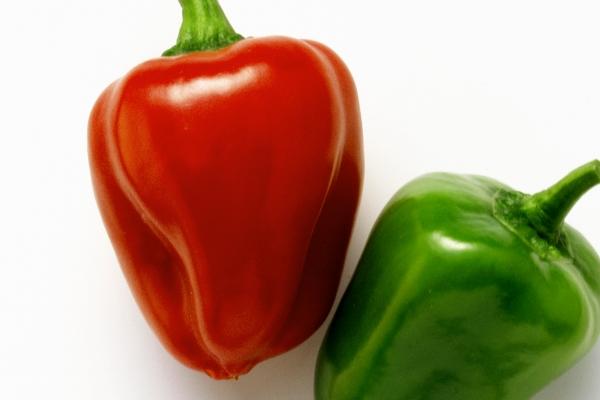 二月属兔男生命运怎样 二月属兔男生命运怎样