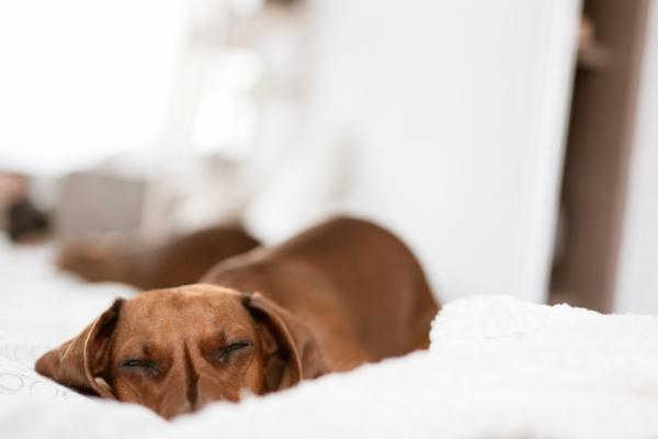 2026年属羊女性运气