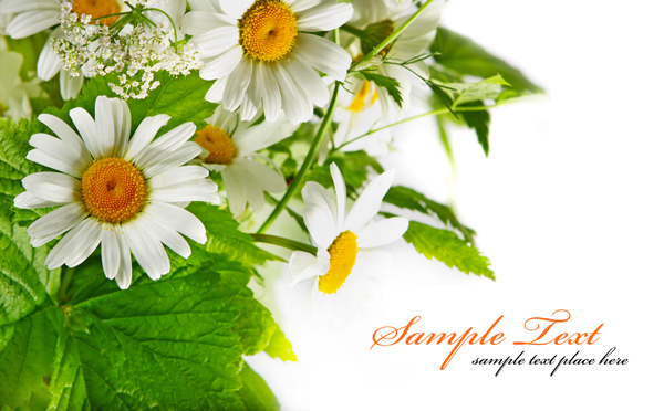 2026年属龙女性运气