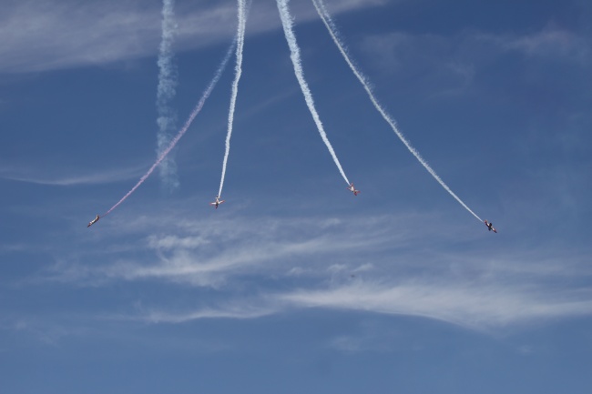 2026年属猪的几月搬家最好是