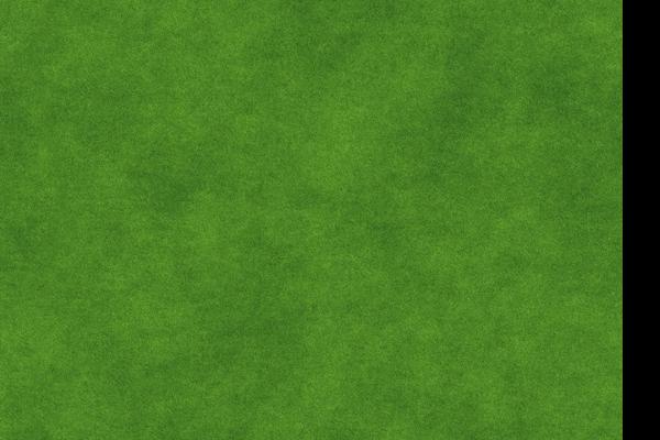 2026年属蛇的真爱到底是谁