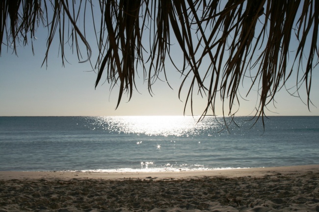 04年水猴命忌讳哪些