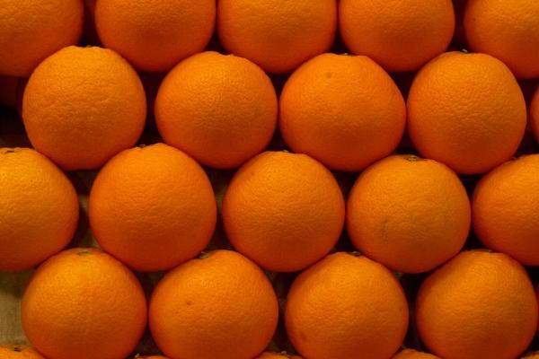 属鸡人最旺的职业类型