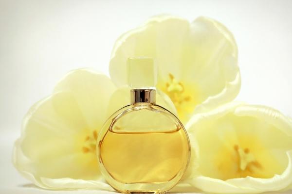 2026年属鼠的真爱到底是谁