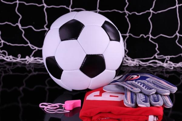 一月属虎男孩子命怎样