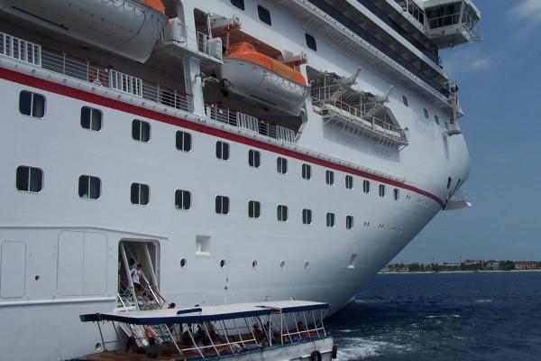 土羊命是什么意思 土羊命是什么意思