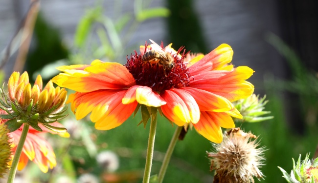 梦到去世母亲生病是怎么回事