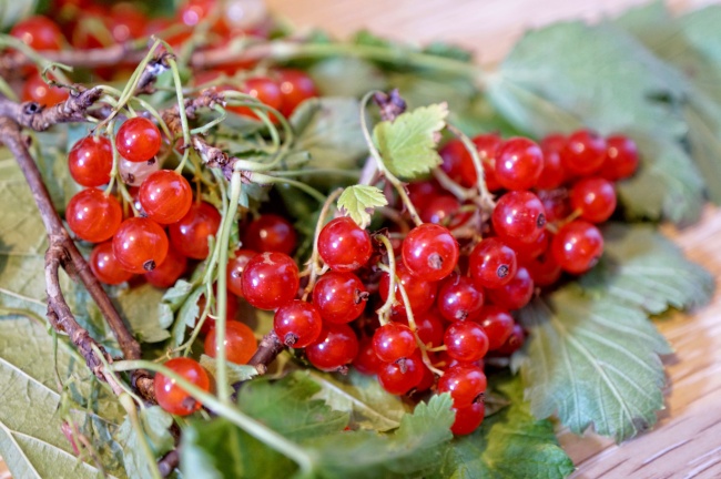 属鸡人2026年小心哪些