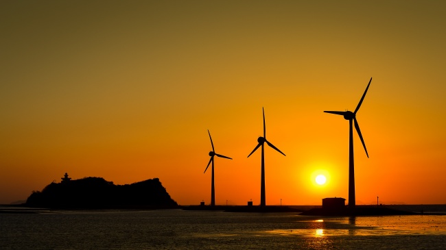 木猴命和什么属相最搭