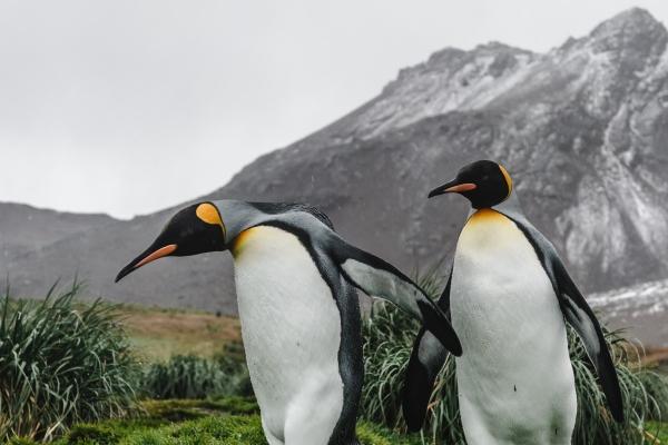 属羊人2026年小心哪些