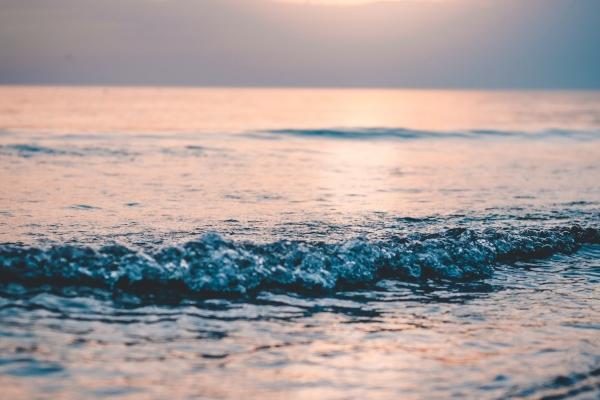 2026属羊人最旺的方位