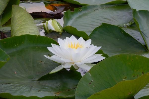 梦到自己抱着女孩代表什么意思