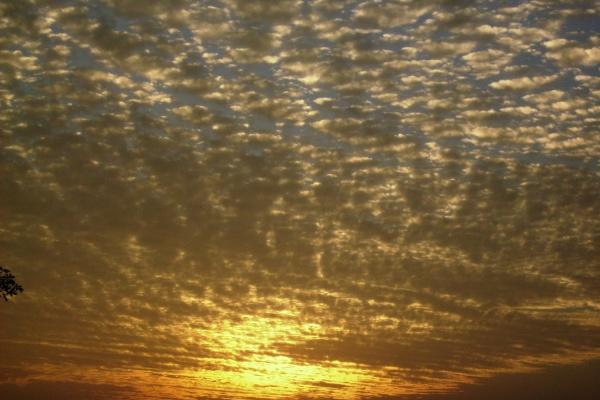 79年羊男2026有重孝吗 79年羊男2026有重孝吗