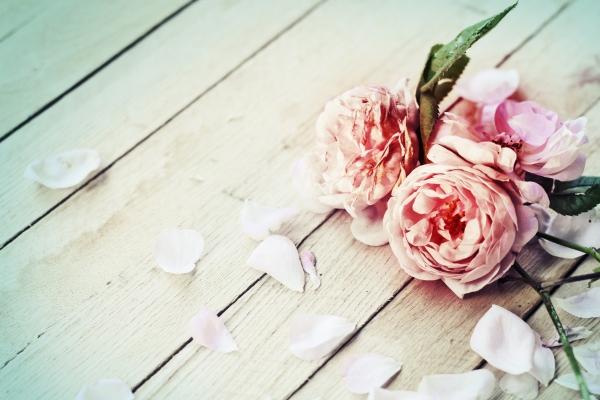 94年狗男最后婚姻结局