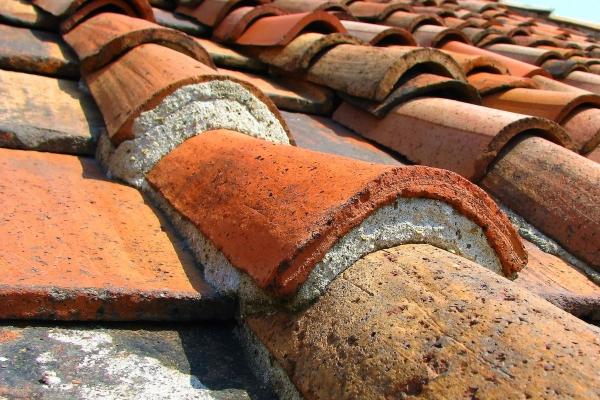 2026年属蛇必定大祸 2026年属蛇必定大祸