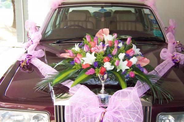 76龙女最后婚姻结局