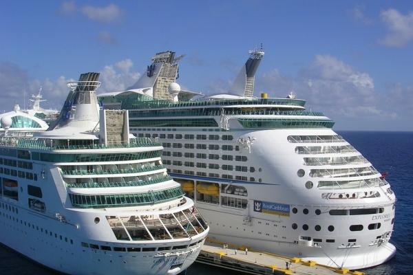 属牛人对家庭如何