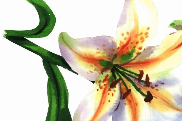 虎女佩戴哪些饰品好