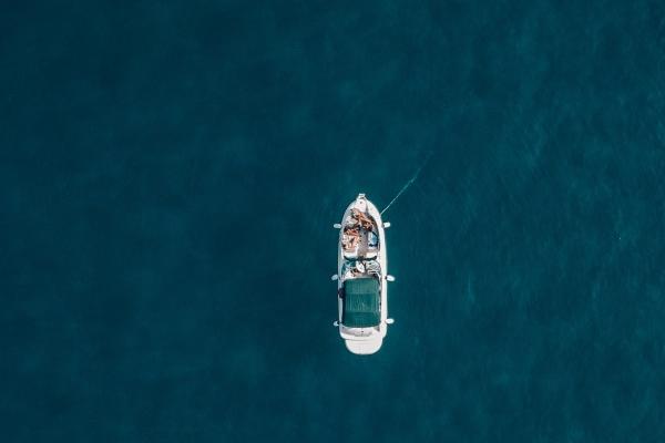 属相牛天生的情敌到底是谁