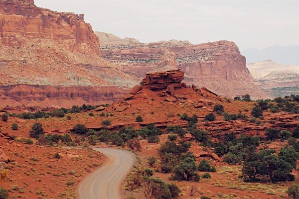 属龙开店最旺盛三个地方