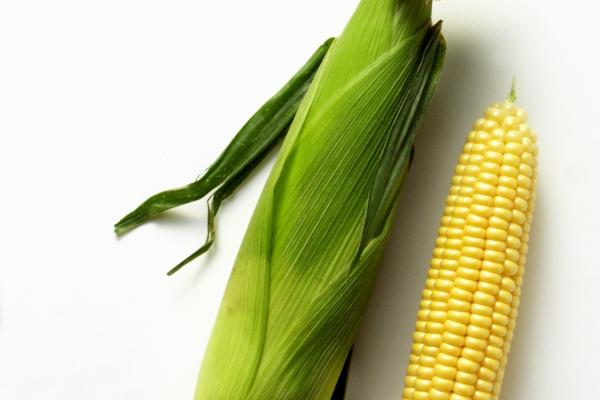 属龙的一生有好几次真爱