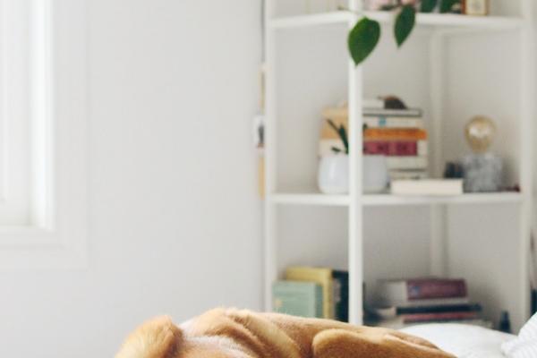 属羊人与父母的缘分怎样