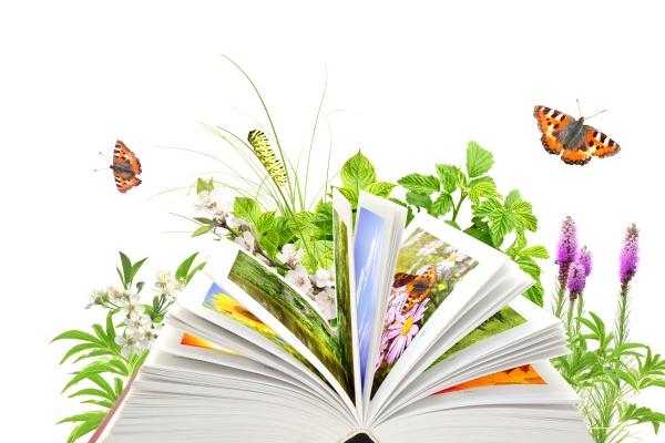 属虎开店最旺盛三个地方