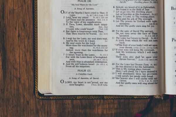 99年兔男多少岁遇真爱