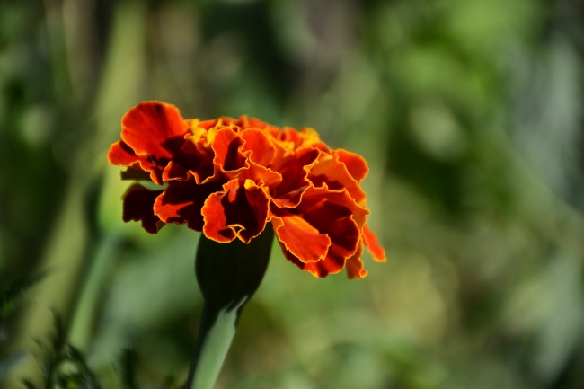 属兔主卧最好是位置