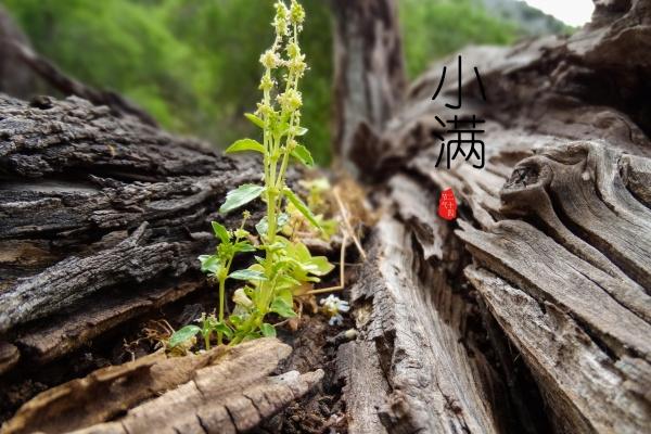 2007几岁结婚最好是 2007几岁结婚最好是