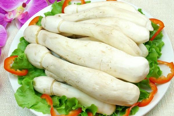 属鼠地从2026年就顺了