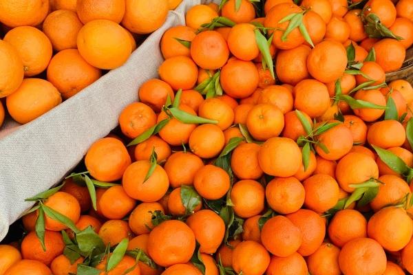 属蛇女又爱又恨的旧人到底是谁