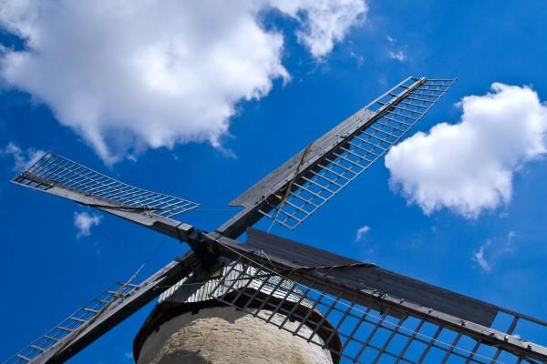 属马主卧最好是部位