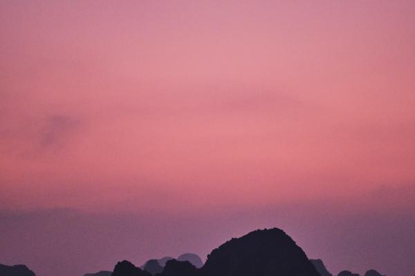 属猴的一生有好几次真爱