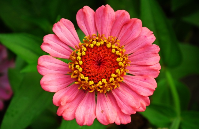 属马得人搬家忌什么属相，属马人搬家注意什么