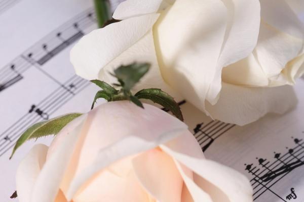 2026年属牛人要分手吗