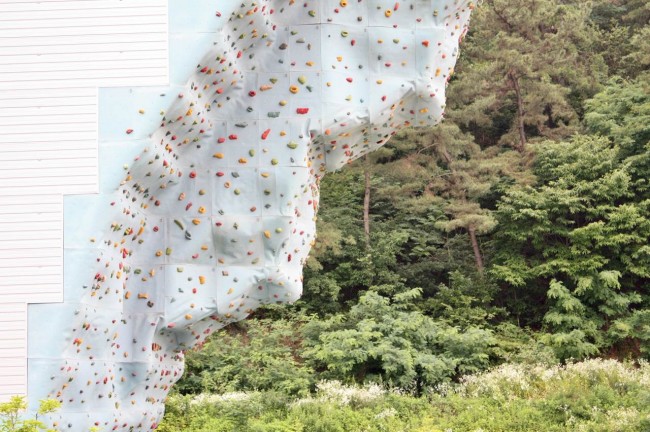 属龙本命年应当注意什么