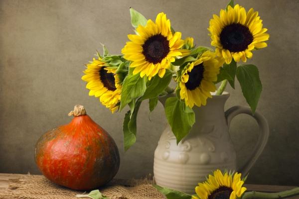 属龙的人对家庭如何