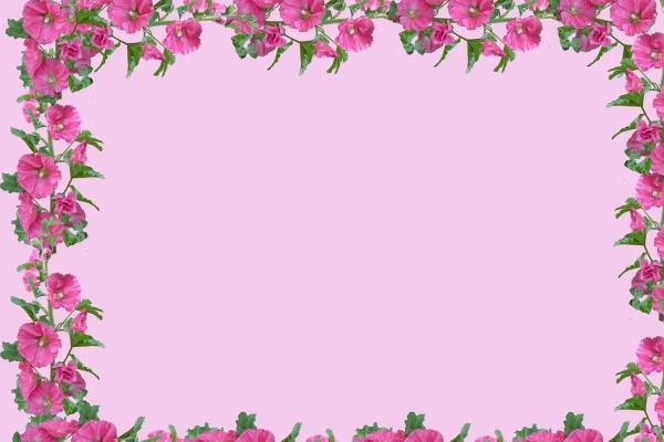 82年狗44岁桃花劫到底是谁